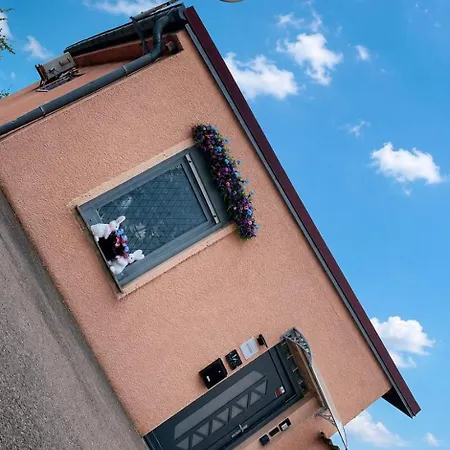 La Casa Dei Fiori *